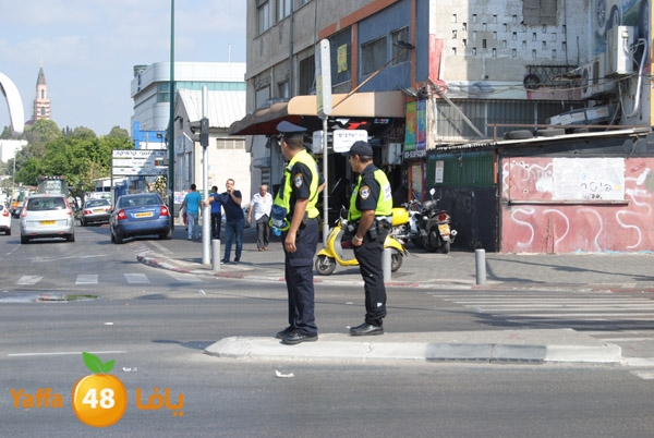 blomfeiled 803 (14).JPG